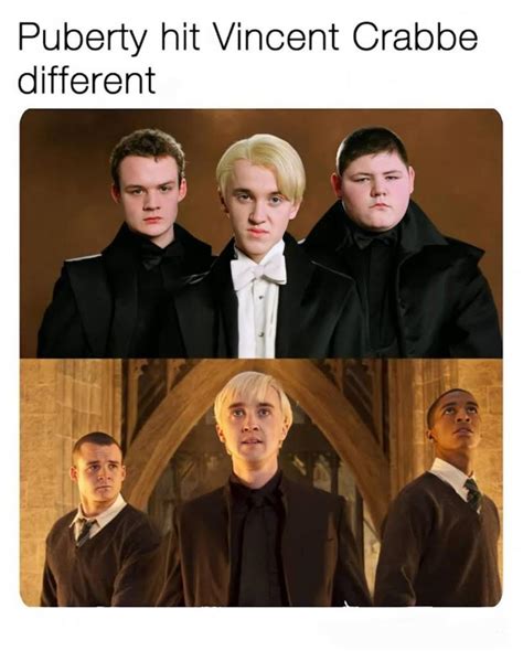 Harry Potter meme : memes