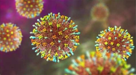 Virus Nipah Sangat Mematikan Begini Gejalanya Jika Tertular