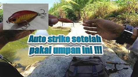 Mancing Di Muara Sungai Berburu Anakan GT Dengan Umpan Topwater