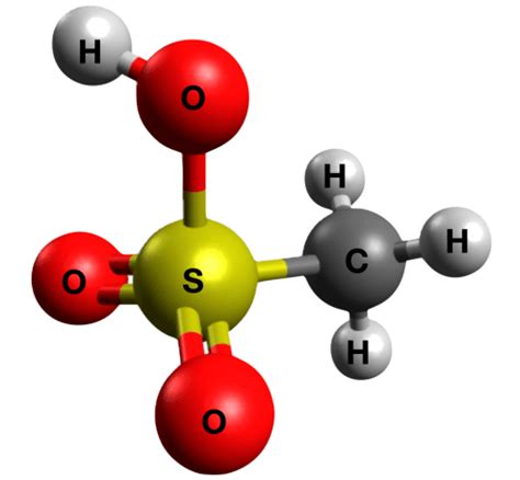 1 Methanesulfonic acid molecule. | Download Scientific Diagram