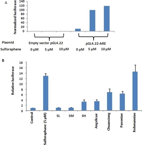 Luciferase Assay Results A Luciferase Assay Establish Open I