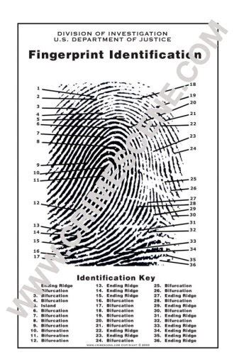 Fingerprint Chart Best Buy Fingerprint Chart On Sale