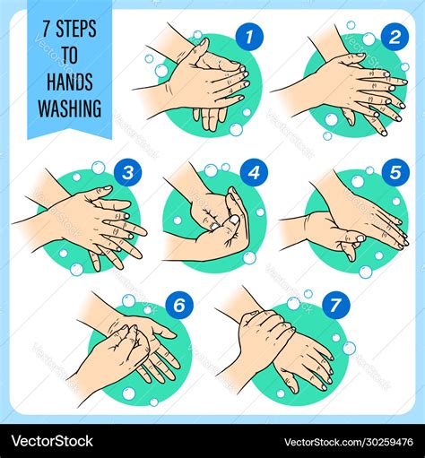 Steps To Washing Hands For Good Health Vector Image