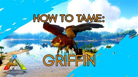 Tutorial Taming Griffin Ark Survival Evolved Mobile Youtube