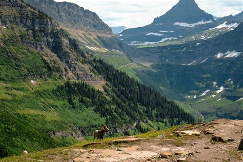 25 Epic Things To Do In Glacier National Park