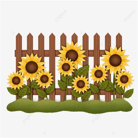 Picket Fence With Sunflowers Picket Fence Wooden Fence Sunflowers