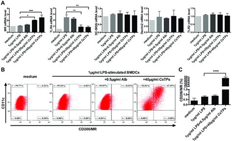 Expression Of Receptors On BMDCs In Response To CsTPs A MRNA Levels