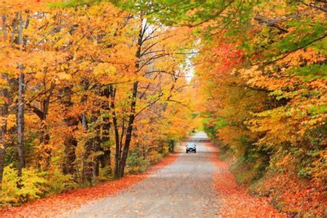 Fall Foliage Guide 2022 Visit New England Blog