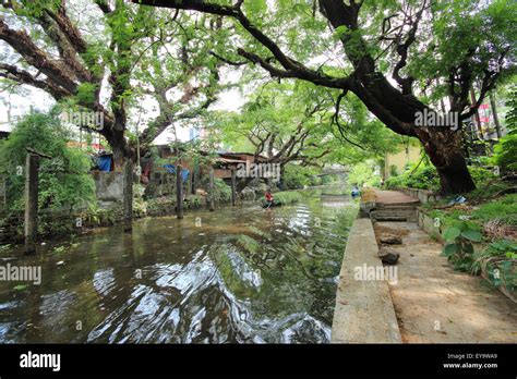 Alleppey, Kerala, India Stock Photo - Alamy