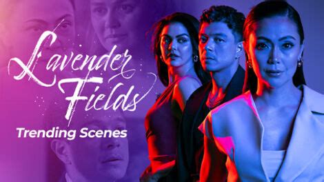 Lavender Fields Trending Scenes