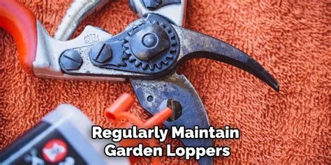 How To Sharpen Loppers With A File 5 Effective Guide 2025