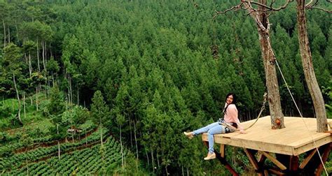 Tempat Wisata Yang Wajib Dikunjungi Di Lembang Bandung