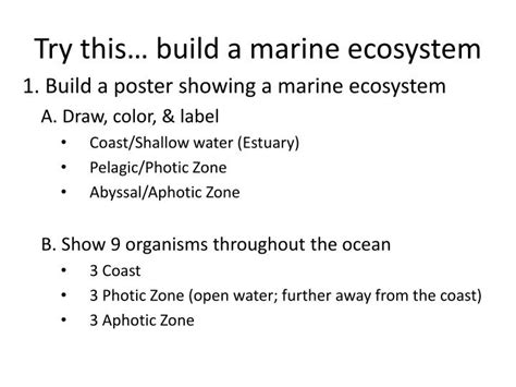 Ecosystem Drawing With Labels at PaintingValley.com | Explore ...