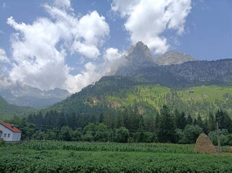 Agriculture in Albania