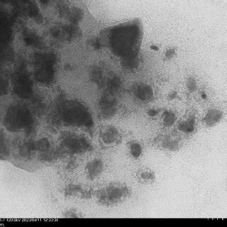 Morphology of bismuth nanoparticles | Download Scientific Diagram