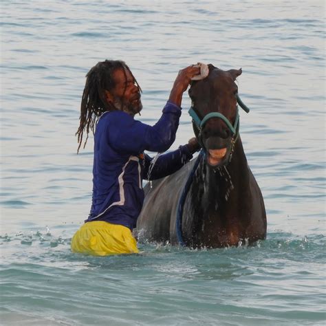 Bath Time Bridgetown Barbados Jan Mersey Flickr