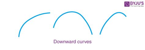 Curve Meaning Definition Shape Types And Examples