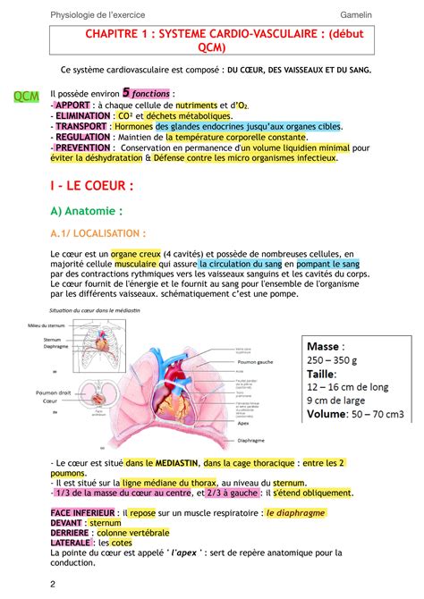 SOLUTION Anatomie Systeme Cardio Vasculaire Studypool