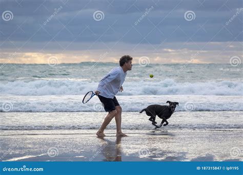 Man With Black Dog On Piha Beach Editorial Photography Image Of Light