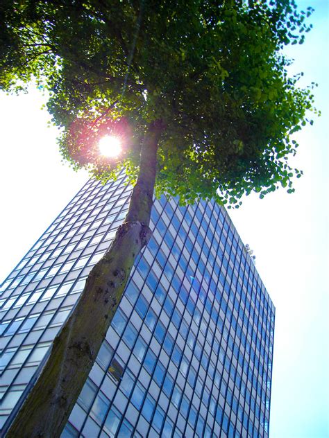 Under The Tree Station Tower Coventry Andrew McGeechan Flickr