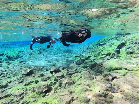 All You Need to Know for Silfra Snorkelling