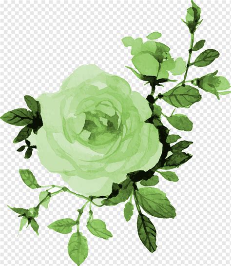 Green Flower Png