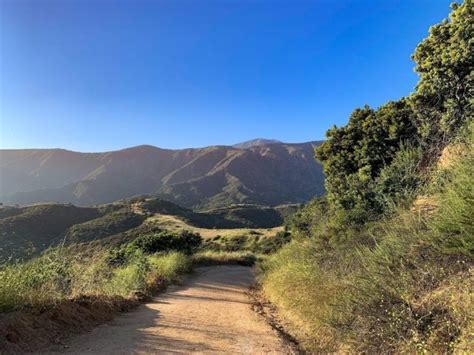 The Refreshing Nature Trail In Southern California At Claremont Hills