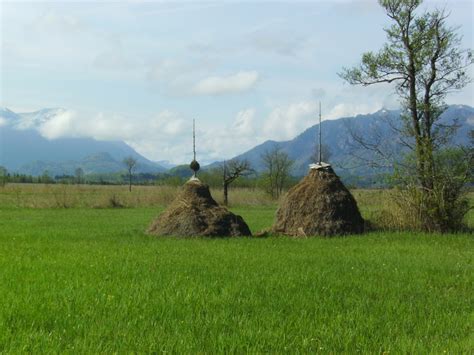 Hocken Im Murnauer Moos Ngid Naturgucker De Enjoynature