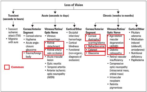 Vision Loss Ddx Simplifiedmed