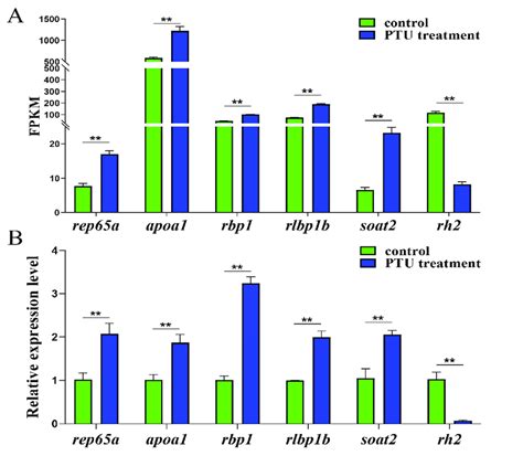 Gene Expression Validation By Rna Seq A And Qrt Pcr B A Fpkm