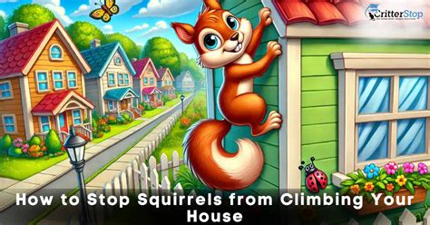 How To Stop Squirrels From Climbing House Critter Stop