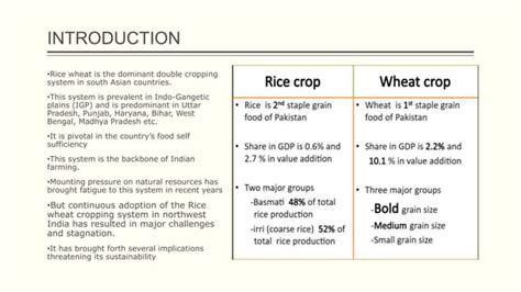 Rice Wheat Cropping System Its Prevalence And Its Presentationpptx