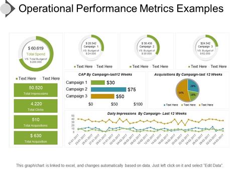 Operational Performance Metrics Examples Presentation Ideas Graphics