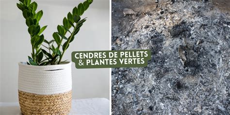 Jardinage Comment Bien Utiliser La Cendre Des Pellets De Bois