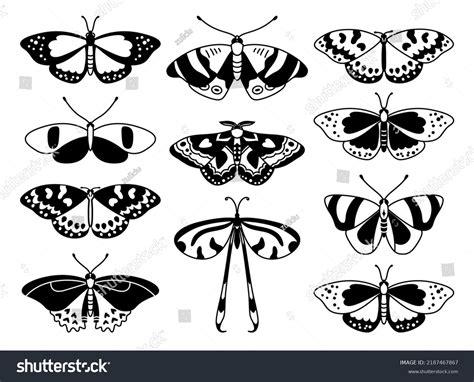 Butterfly Set Vector Illustration Black White Stock Vector Royalty