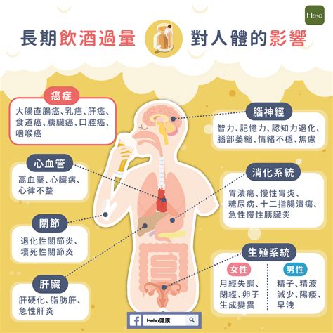 長期飲酒過量，對人體的影響這麼多 蕃新聞