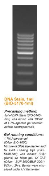 Rsc Estore Sybr Nucleic Acid Gel Stain Florosafe Dna Stain Less