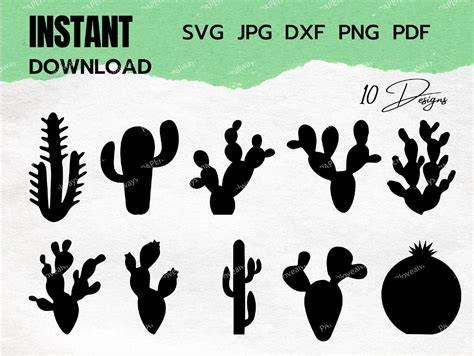 Cactus Svg Cactus Silhouette Svg Succulent SVG Cactus - Etsy