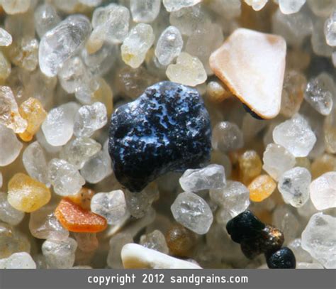 Magnified Photographs Illustrate How Awesome Grains Of Sand Can Be ...