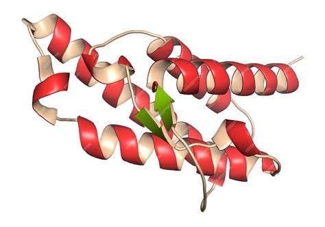 Premium Photo | Interleukin 4 IL4 cytokine protein 3D Illustration