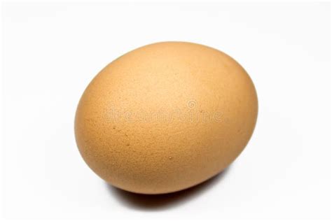 Single egg stock photo. Image of isolated, metaphor, clear - 22274106