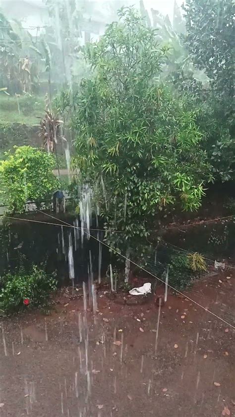 Guyzz മഴ 🌧️🌧️🌧️🌧️🌧️😇🤣rainyday Keralarain ⛈️⛈️⛈️ Youtube