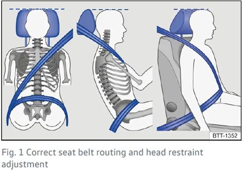 Gu A De Asientos Y Cinturones De Seguridad Del Volkswagen Multivan