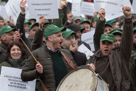 Silvicultorii Anun Un Protest N Fa A Sediului Guvernului N