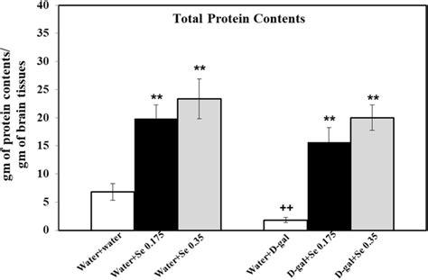 Total Protein Contents In The Hippocampus Of Mice Treated With Water Download Scientific