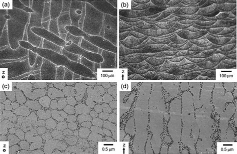 A B Optical Micrographs C D Sem Images Showing Microstructure Of