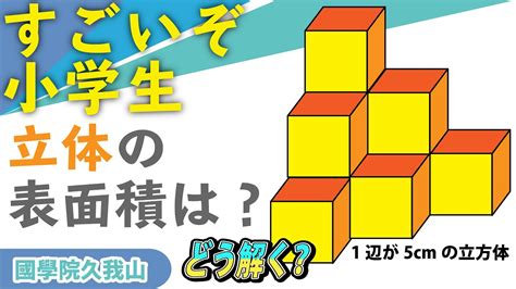 面白い算数問題視点が大切中学入試 算数 立体図形 國學院大學久我山中 YouTube