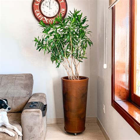 Vaso de Plantas Grande 79cm para Sala de Estar Decoração Leroy Merlin