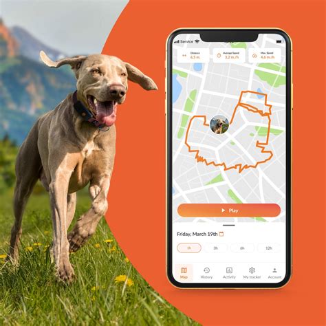 Weenect Xt Gps Pour Chien Boutique En Ligne