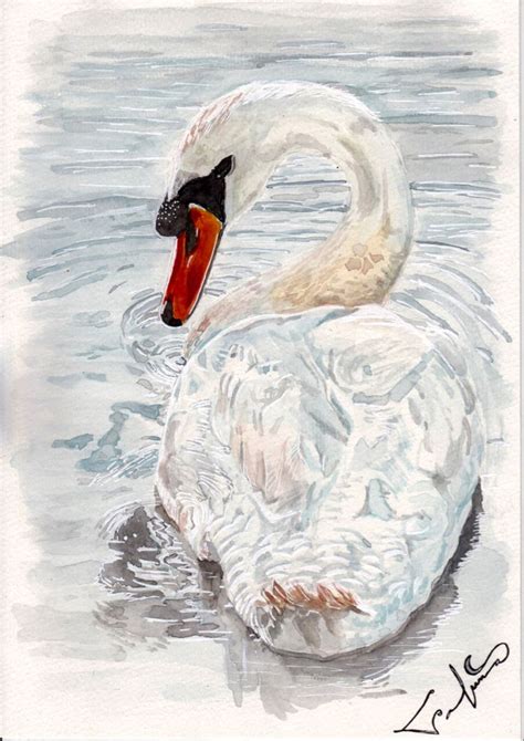 Original Swan Watercolor Painting in 2023 | Painting, Watercolor animals, Original watercolors